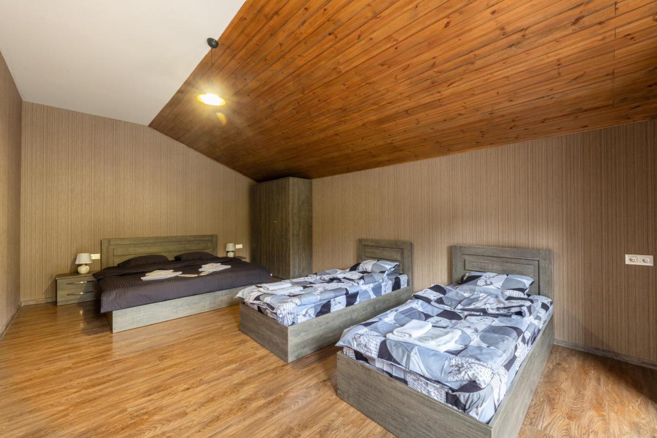 - Didveli Residence Lux Apartments - Bakuriani Eksteriør billede
