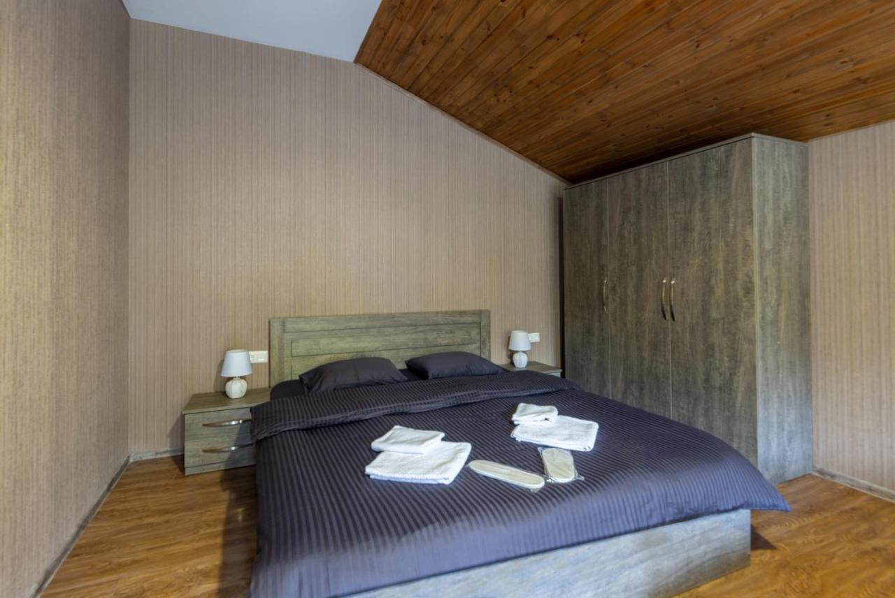 - Didveli Residence Lux Apartments - Bakuriani Eksteriør billede